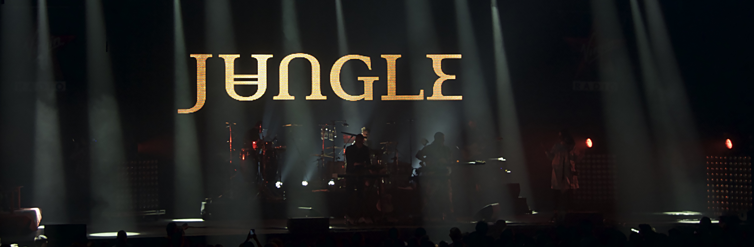 Vous consultez actuellement Jungle, de la funk et du mystère…